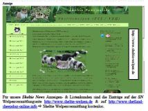 63-Sheltiewelpen.jpg