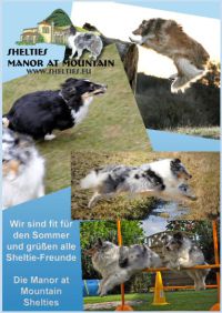 S01-Titel innen-Anzeige Hoffmann.jpg