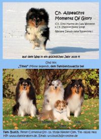 yruecken-innen.jpg
