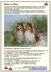 S29-Anzeige Eichhorst.jpg