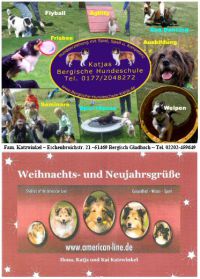 S39-Anzeige Katzwinkel.jpg