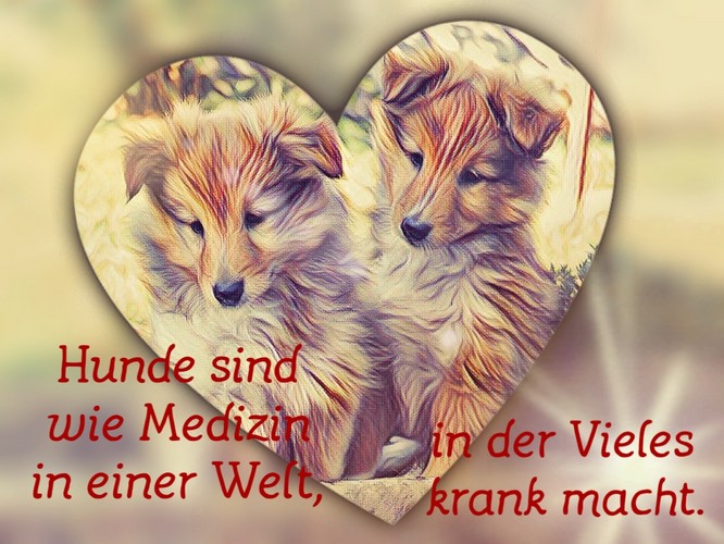 Spruch04 500